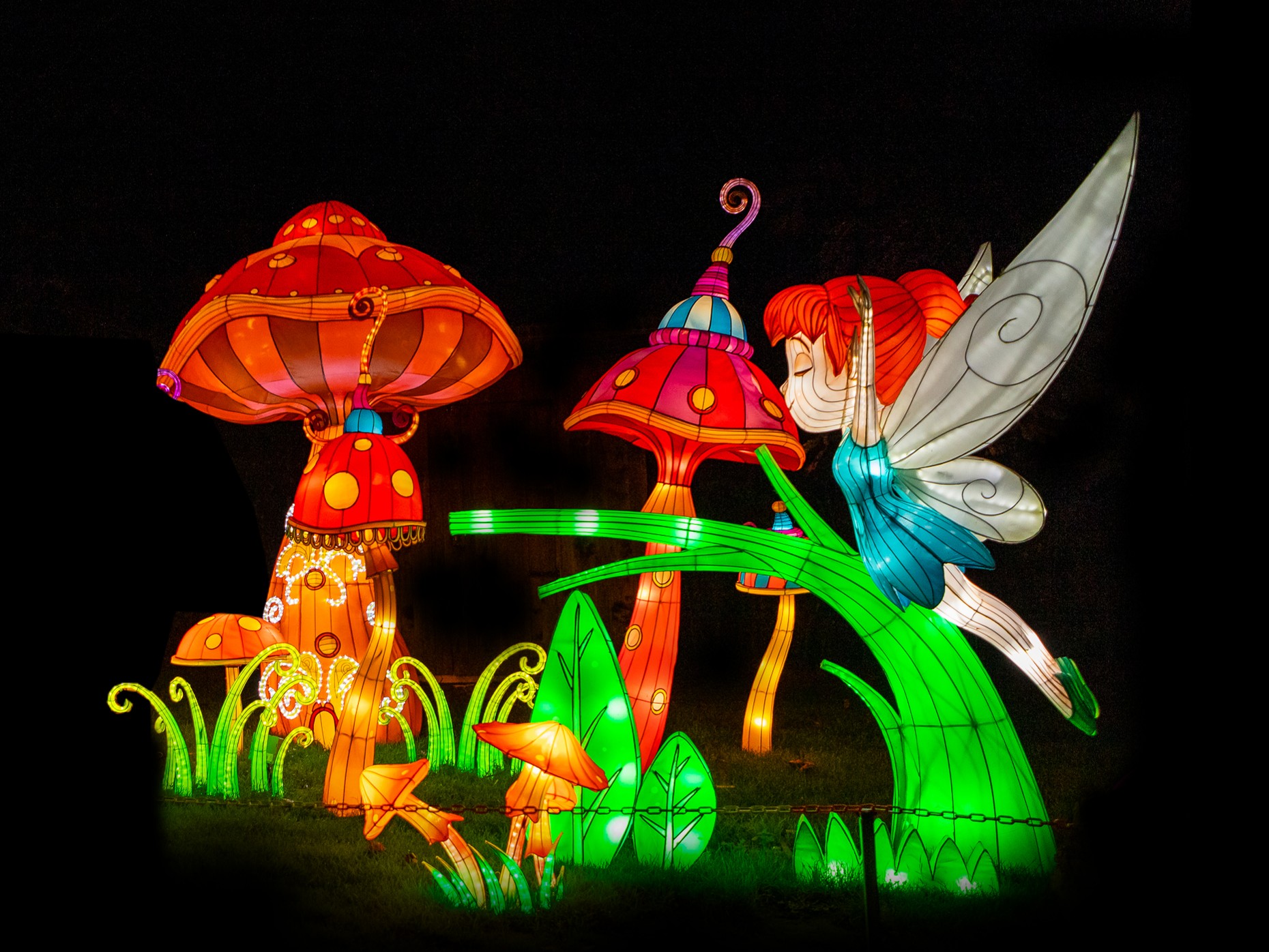 Amazing light sculptures